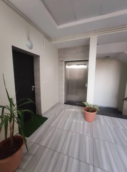 Location Appartement Alger Said hamdine