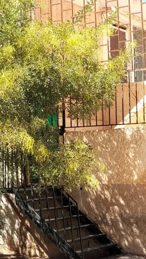 Vente Appartement F3 Saïda Saida