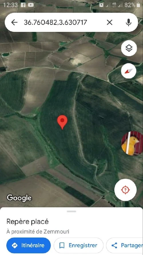 Vente Terrain Agricole Boumerdès Zemmouri
