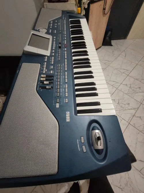 Korg Pa 800 