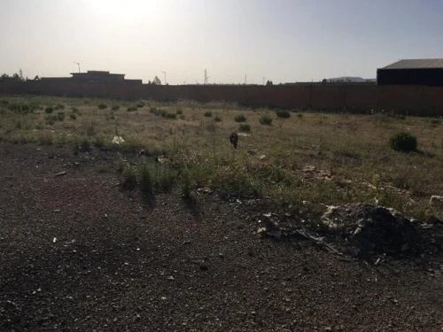Vente Hangar Tiaret Tiaret