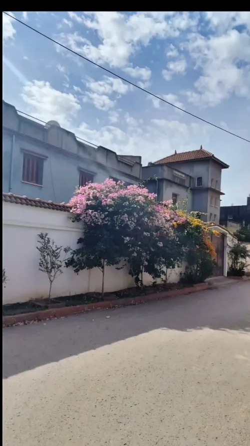Vente Villa Alger Hraoua