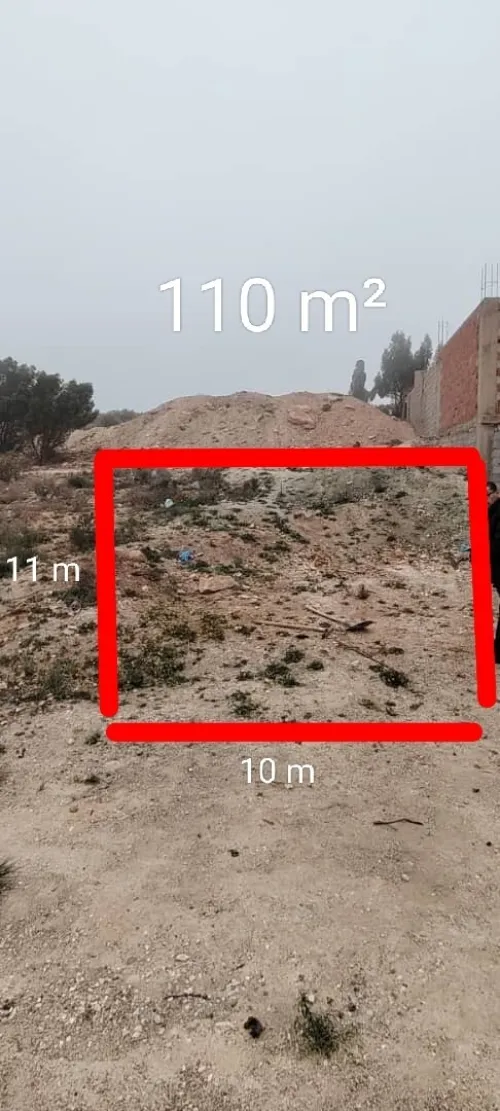 Vente Terrain Tlemcen Souahlia