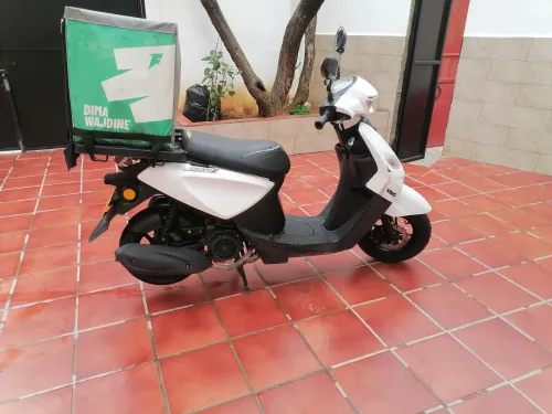 Vms Joci 2024
