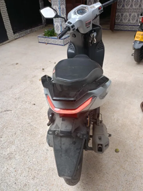 Vms Corale 2024