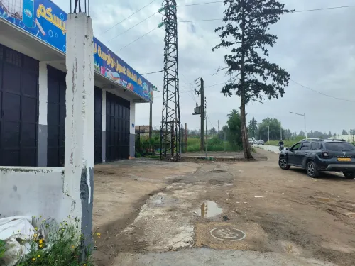 Location Local Blida Boufarik
