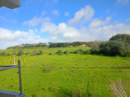Vente Appartement F4 Alger Draria