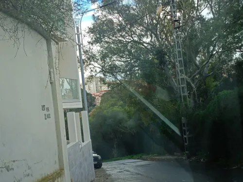 Vente Appartement F2 F3 F4 Alger El achour