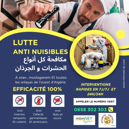 Extermination des termites, fourmis et fourmilières à tlemcen 