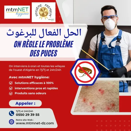 Extermination des puces de chat et puces de chien البرغوث à ain témouchent 