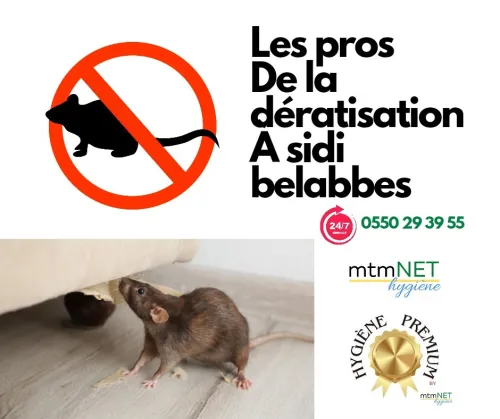 Entreprise de Dératisation à sidi belabess 