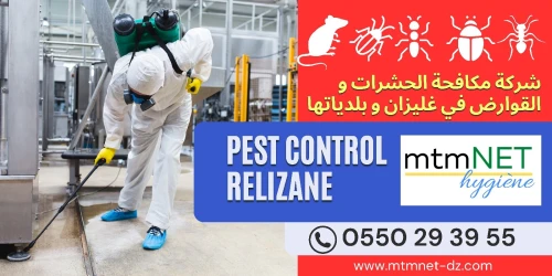 شركة مكافحة الحشرات الضارة و الجرذان في غليزان و بلدياتها
