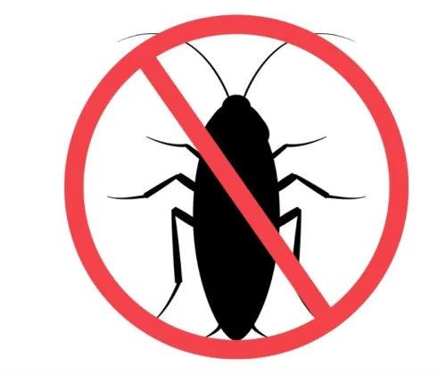 Extermination des cafards à mascara 