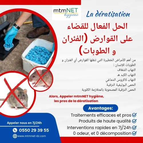 Entreprise de dératisation à ain témouchent 