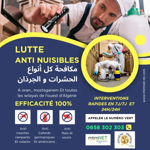 شركة مكافحة الحشرات الضارة و الجرذان و التطهير في غليزان و بلدياتها