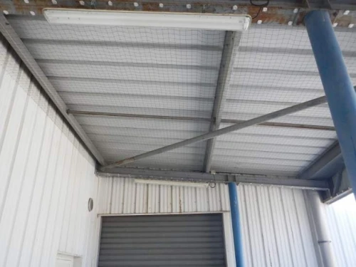Entreprise de désinsectisation, dératisation, désinfection et dépigeonnage à oran