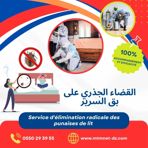 Extermination des punaises de lit بق الفراش à oran 