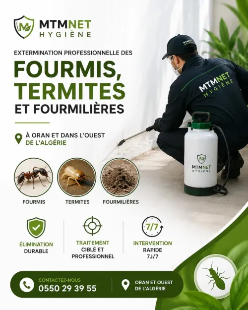 Extermination professionnelle des fourmis, termites et fourmilières