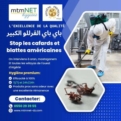شركة مكافحة الحشرات الضارة و الفئران في تلمسان 