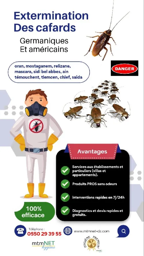 Service d'extermination des cafards à ain témouchent 