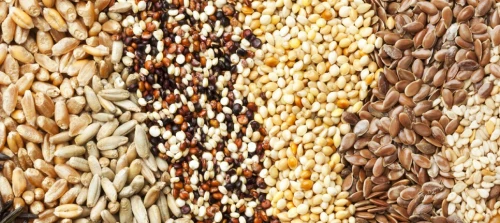 GRAINES alimentaires : Lupin -chanvre- lin-anis-mahaleb-pin-fenugrec...-زريعة / بذور للاستهلاك  