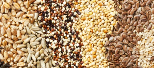 SUPERALIMENTS : Guarana-Baobab -Acaï-Maca-Goji-Spiruline-Propolis-Matcha+ سوبرفوود-منتوجات متعددة