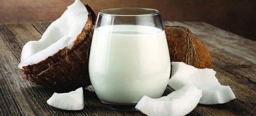 LAIT de COCO (Végétal) et autres (poudre)   + حليب نبتي- جوز الهند