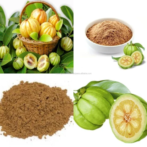 GARCINIA Cambogia : fruit séché/poudre / extrait 60% -جارسينيا كومبوديا كاملة مجففة- مستخلص-مسحوق   