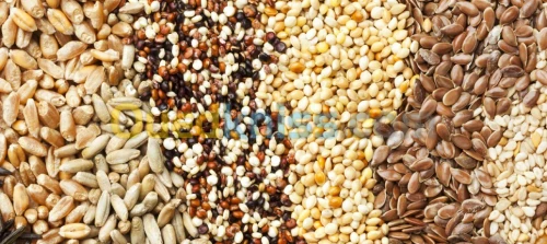 Catalogue: Plantes médicinales (et alimentaires) (PAM) et prix---كتالوج: أعشاب طبية (ونباتات غذائية)