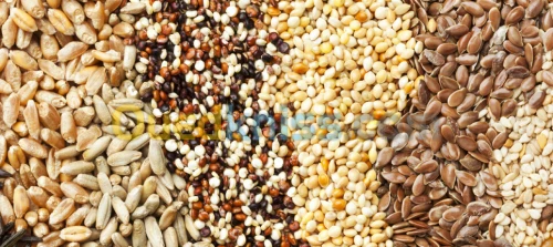 Aphrodisiaque : différents produits --- مثير للشهوة الجنسية : منتجات مختلفة 