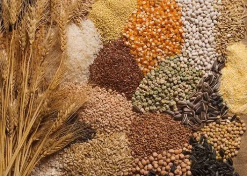 CEREALES diététiques :Sarrasin BIO-avoine -millet- etc. (grain-farine-flocon+) حبوب صحية : عدة أنواع