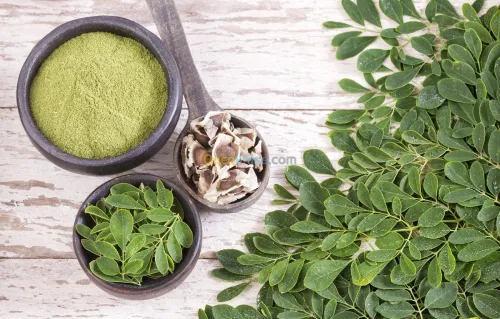 MORINGA: feuille - poudre- graine - graine décortiquée أوراق و بذور المورينجا