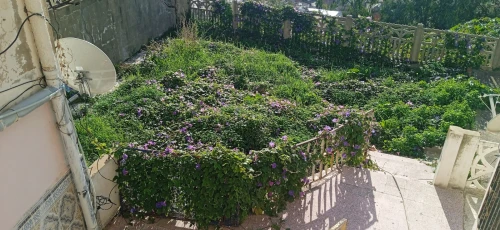 Vente Villa Annaba Annaba