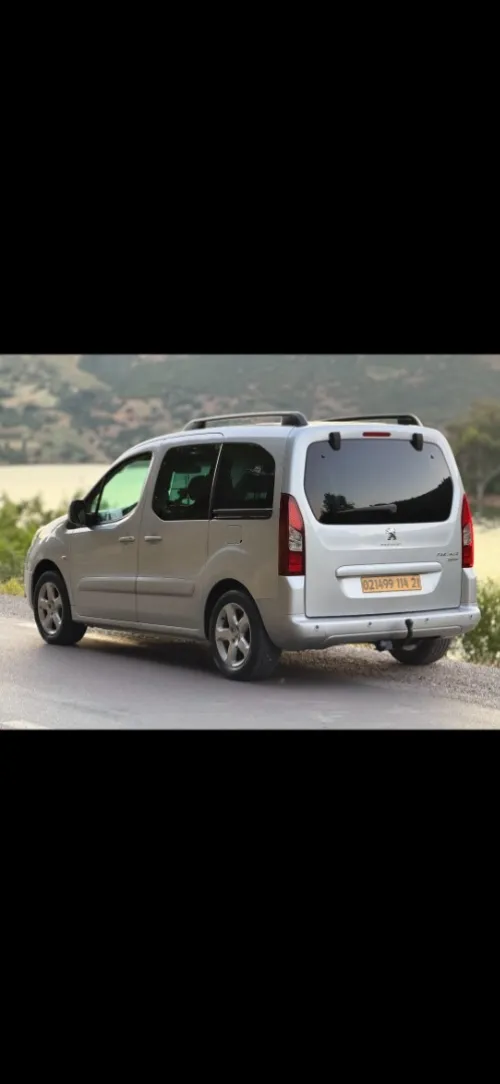 Peugeot Partner 2014 Tepee