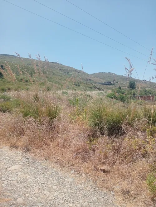 Vente Terrain Béjaïa Adekar