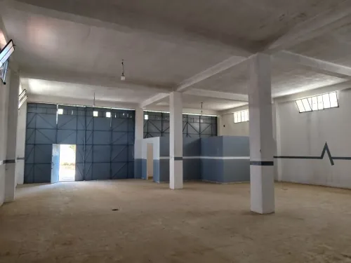 Location Hangar Alger Birtouta