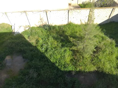 Vente Terrain Alger Birtouta