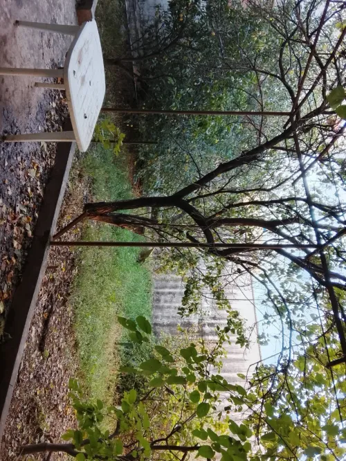 Vente Villa Boumerdès Hammedi