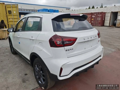 Livan X3 Pro  2025 Bv manuel