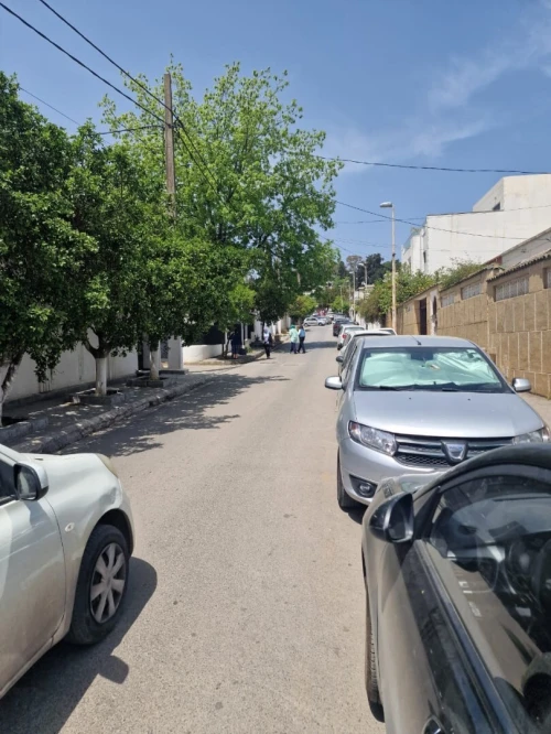 Vente Terrain Alger Bordj el kiffan