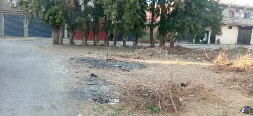 Vente Terrain Alger Ouled chebel