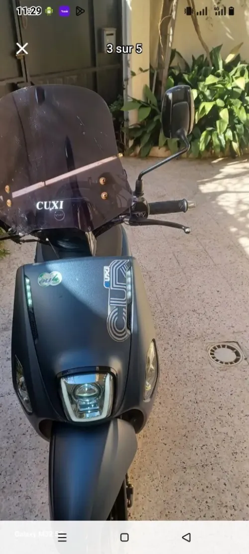 Cuxy Linhay 2025