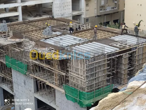 Entreprise Chinoise de Construction 