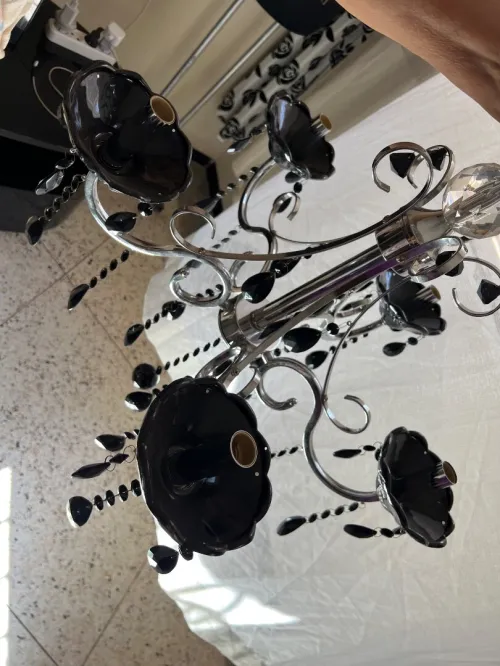 Lustre et vaisselle neuve