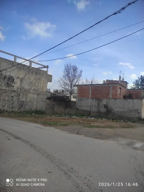 Vente Terrain Alger Bordj el kiffan