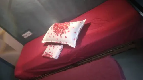 Location Appartement Studio Mostaganem Mostaganem