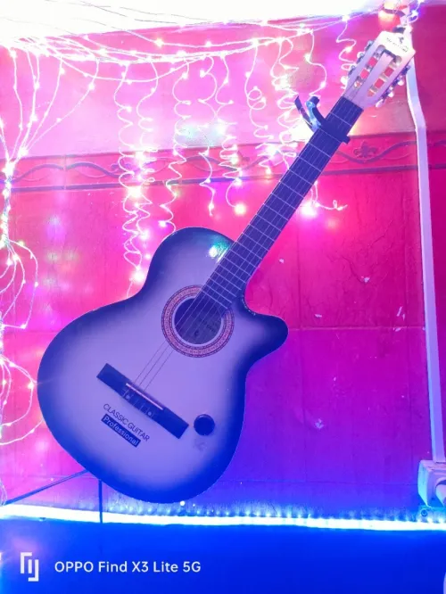 Guitare sèche 