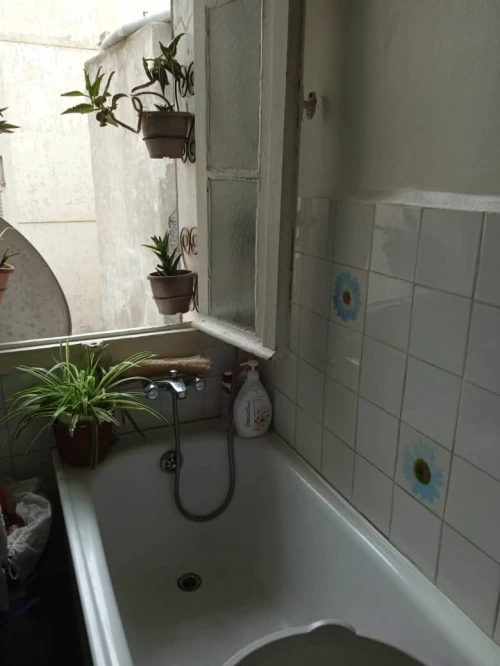 Location Appartement F3 Alger Alger centre