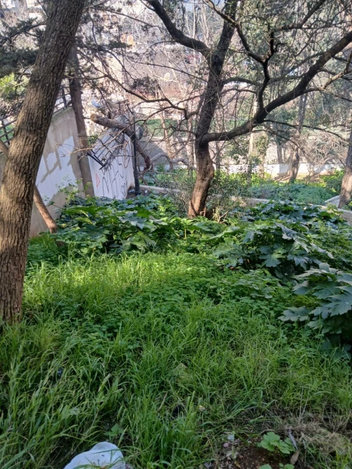 Vente Villa Alger El mouradia