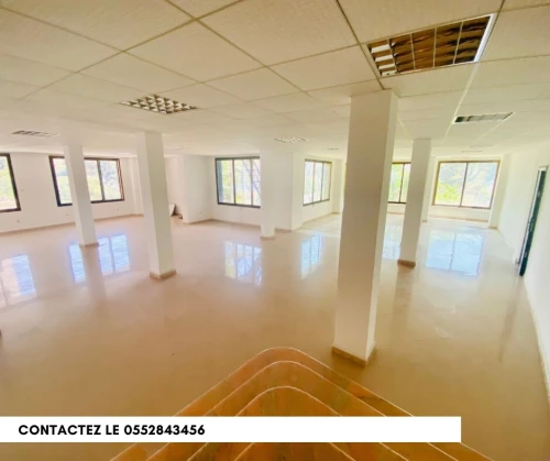 Location Immeuble Alger Hydra